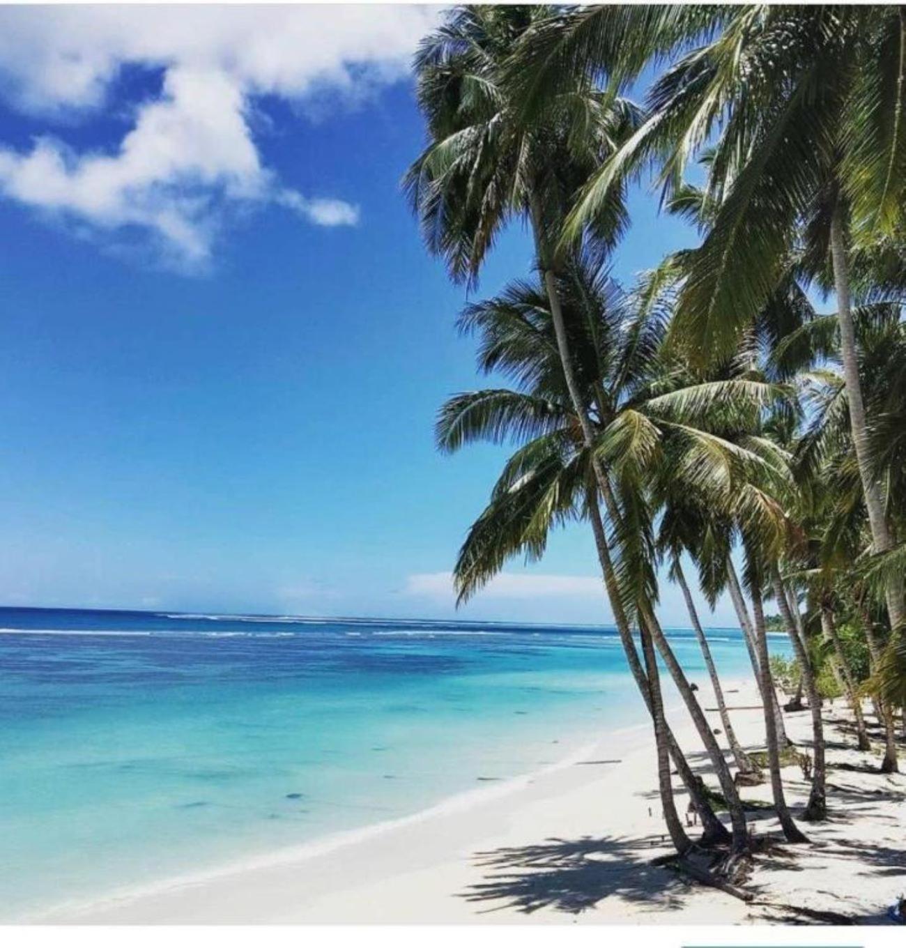 Nasara Resort Mentawai Tua Pejat Ngoại thất bức ảnh
